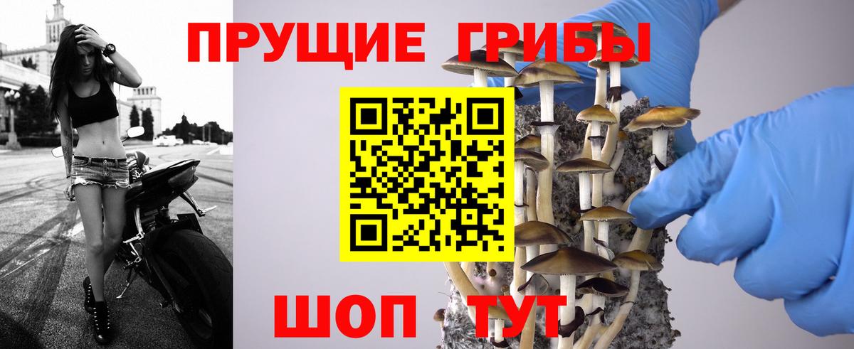 Псилоцибиновые грибы MAGIC MUSHROOMS Бугуруслан
